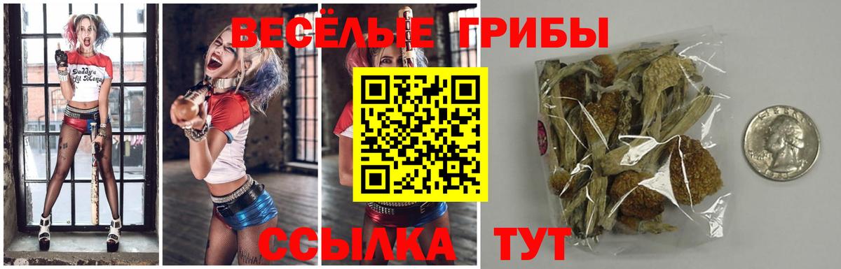 Горячий Ключ  Псилоцибиновые грибы Psilocybe  Вход с VPN 